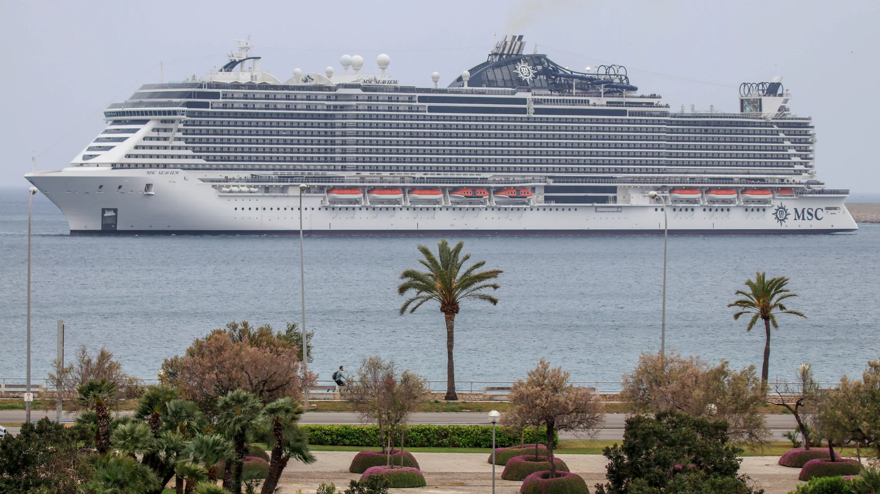 Photograph of MSC Seaview